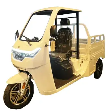 EV-TUKTUK-PRO – PROシリーズ –